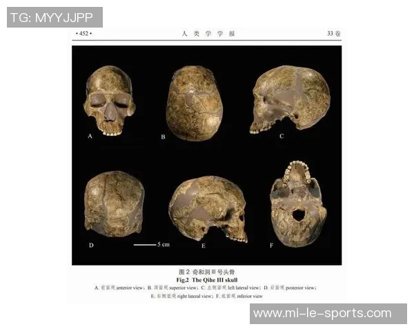 足球历史与文化的深度探讨及其对全球体育的影响分析 足球历史与文化的深度探讨及其对全球体育的影响分析